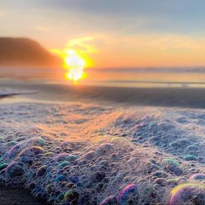 Meet your Posher, Rolla j